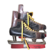Set of skating shoes - Hockey