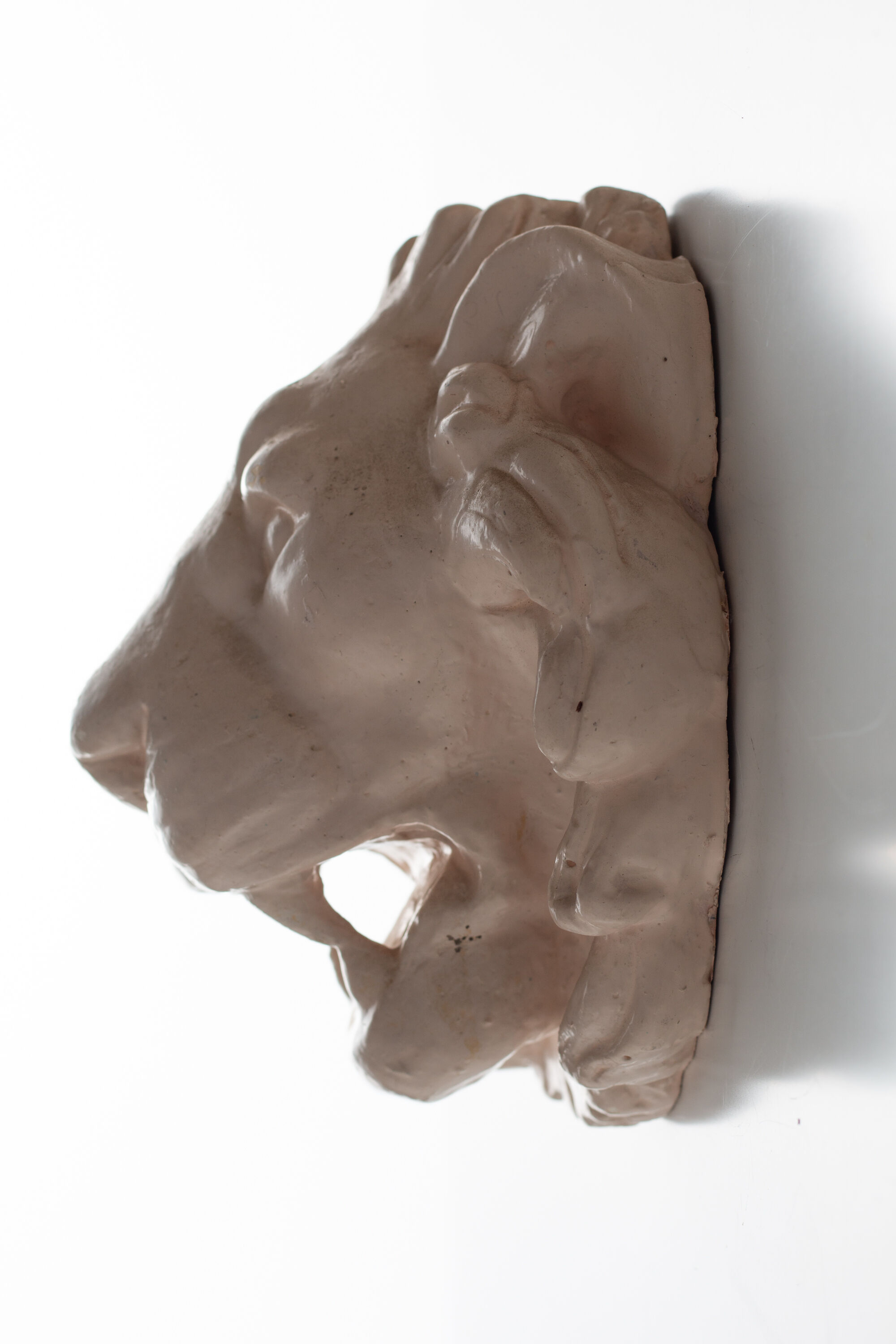 Lion's head in painted plaster