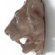 Lion's head in painted plaster