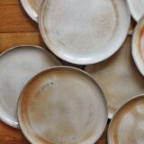 Flat plates in sandstone from the vintage 70s marsh