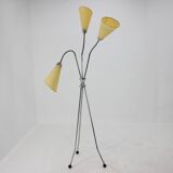 1960s Chrome Plated Floor Lamp, Czechoslovakia