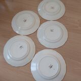 Alsatian plates hollow Agreste