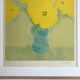 Signed and justified lithograph by pierre boncompain, untitled (tulips baroques), 1982