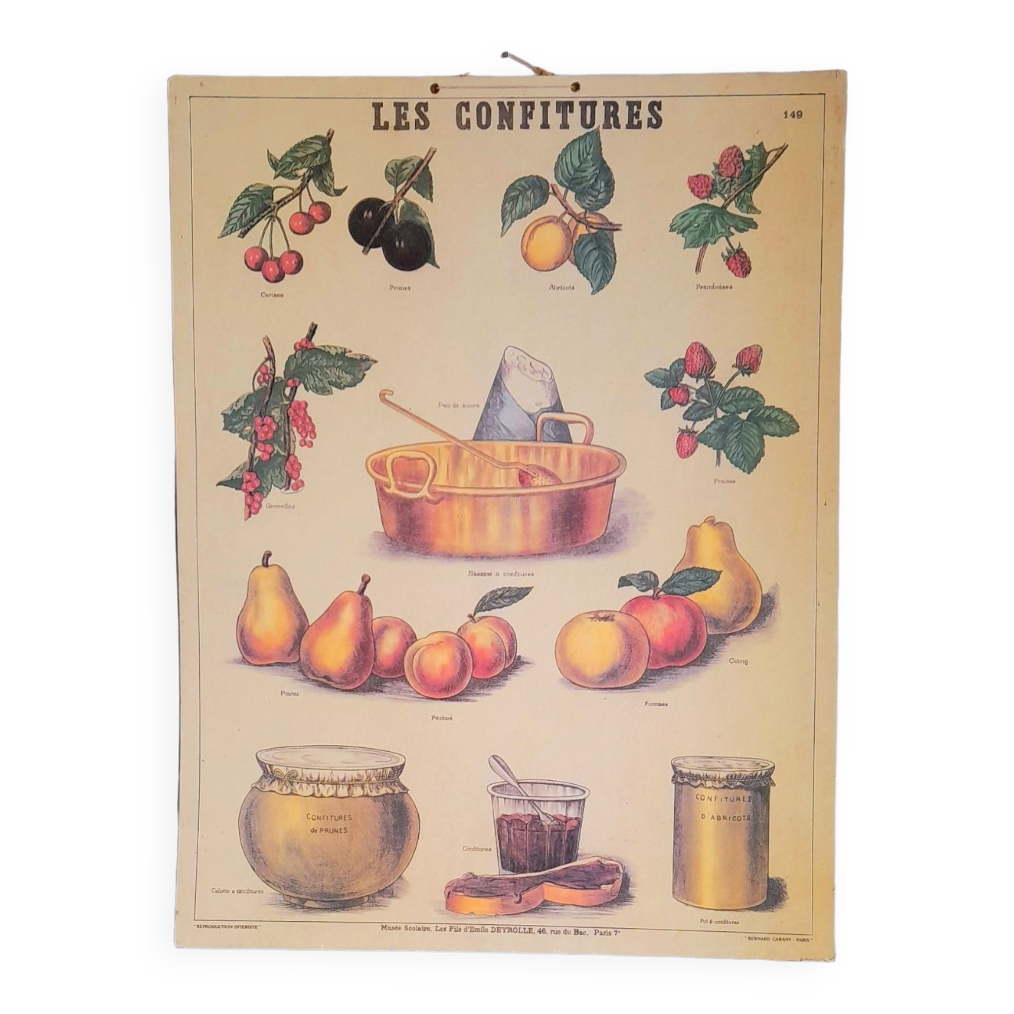 Deyrolles poster 'jams'