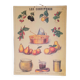 Deyrolles poster 'jams'