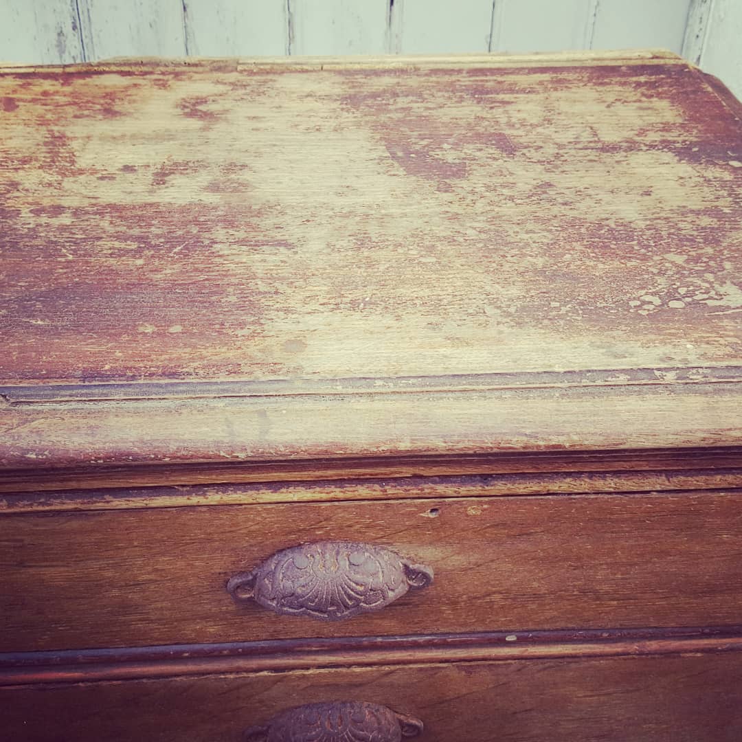 Trade furniture counter 1900