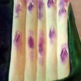 Square asparagus plates in barbotine by Marcel Guillot, set of 8.