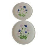 Duo d’assiettes à dessert Gien décor floral bleu et mauve peint à la main