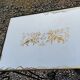 Coffee table end of sofa of the 50s mirror tray base wrought iron