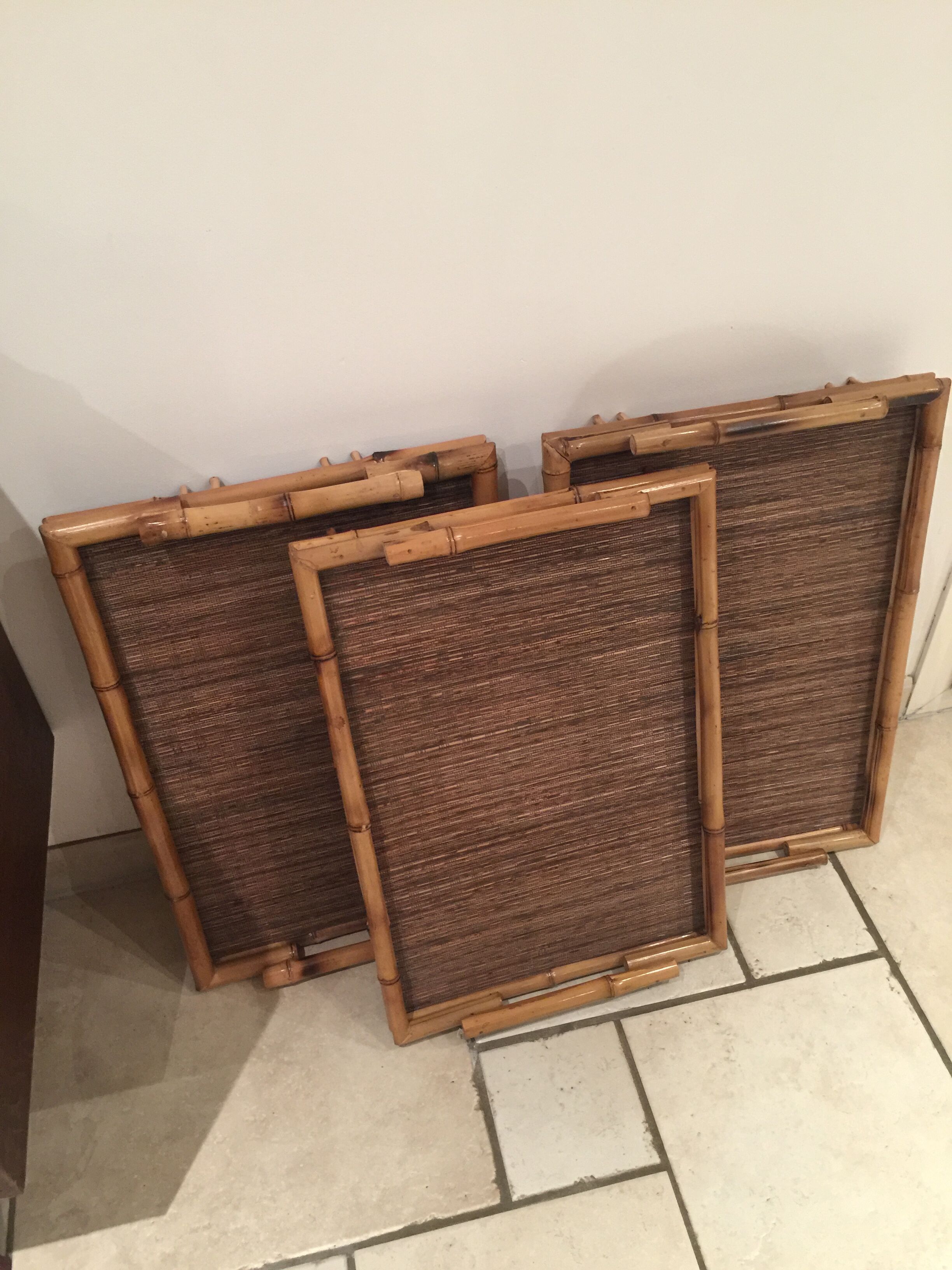 Trilogy of bamboo on display trays