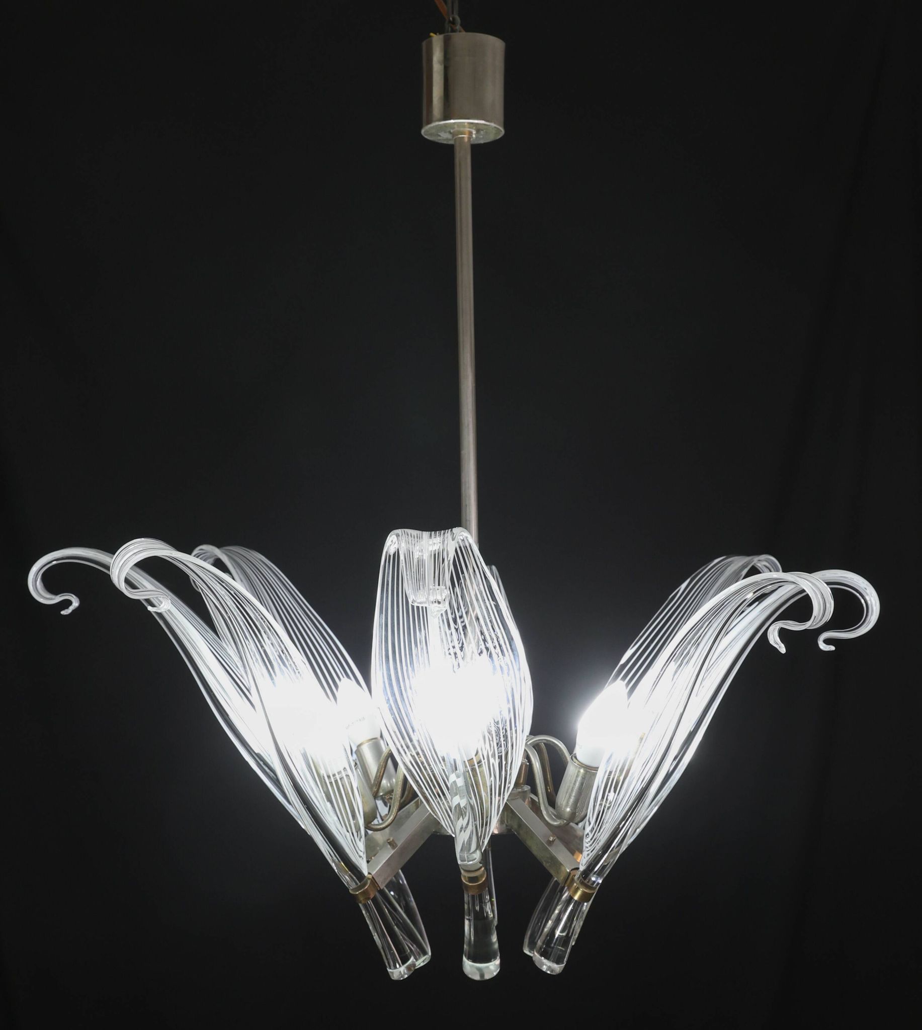 Extraordinary Large Transparent Murano Glass Leaves Chandelier by Franco Lu