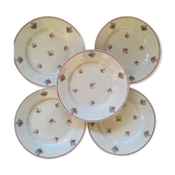 Five dessert plates flowered