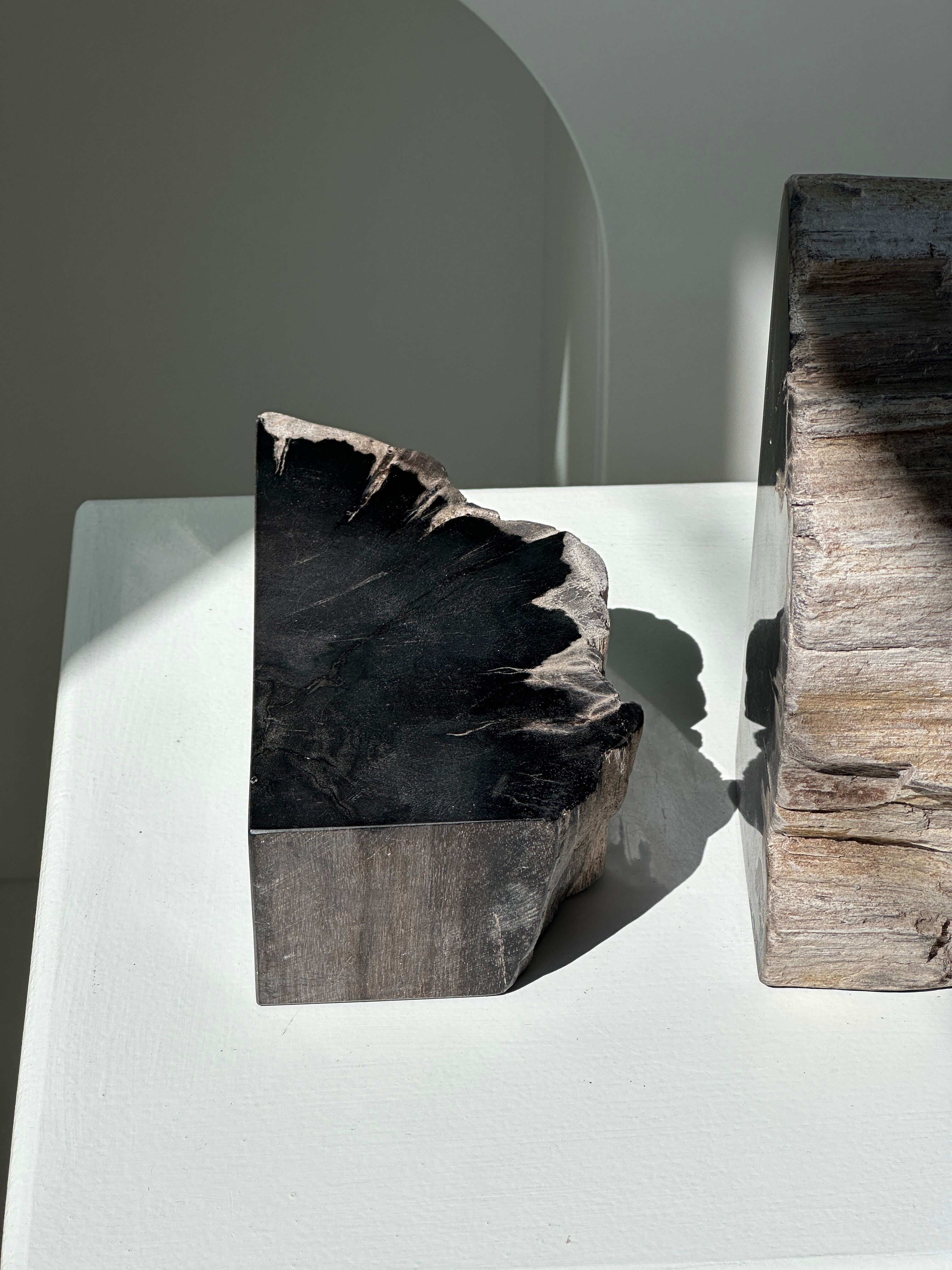 Black petrified wood bookend H17 L17 P6