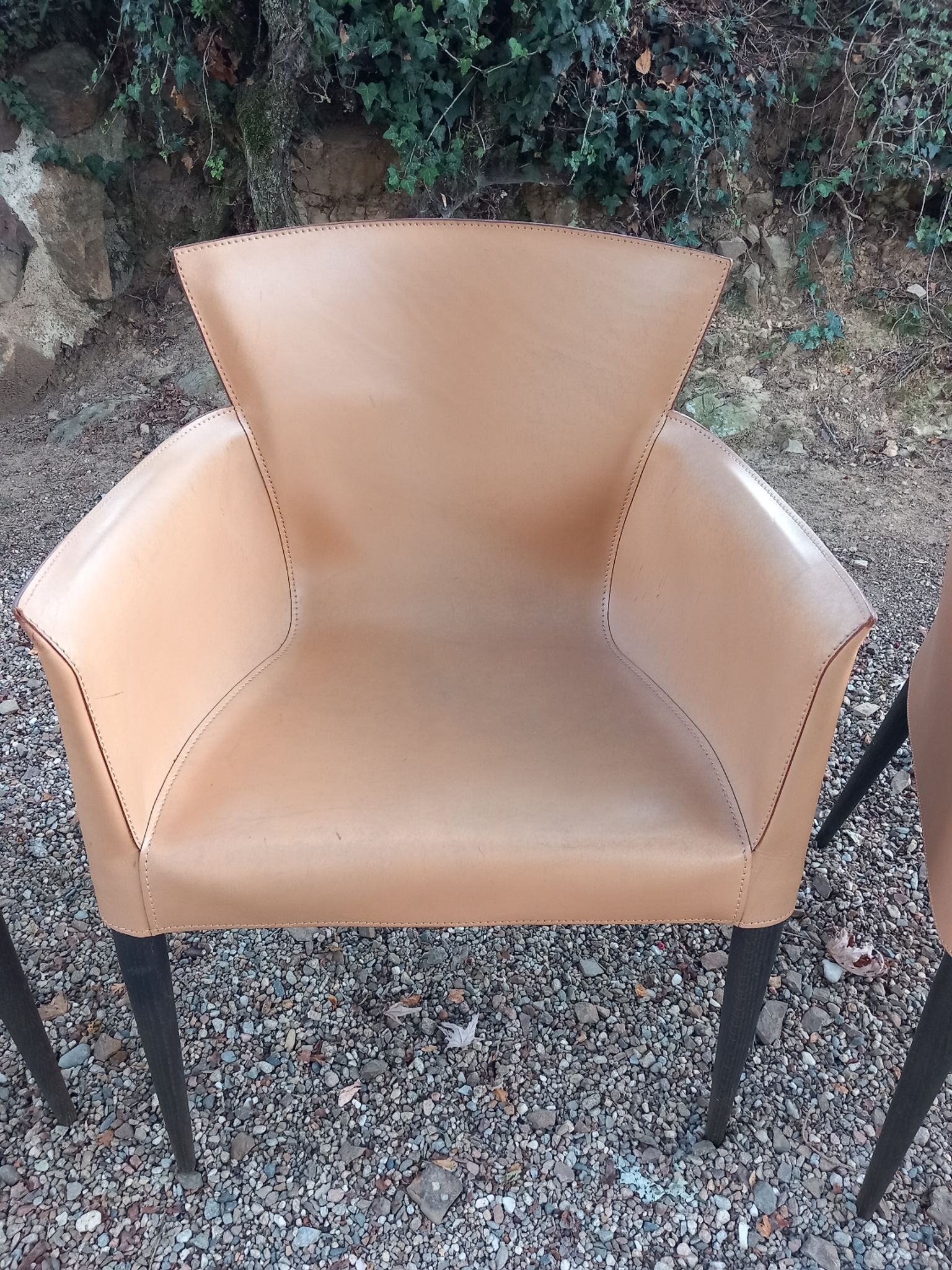 Ensemble de 4 chaises Vela par Carlo Bartoli pour Matteo Grassi
