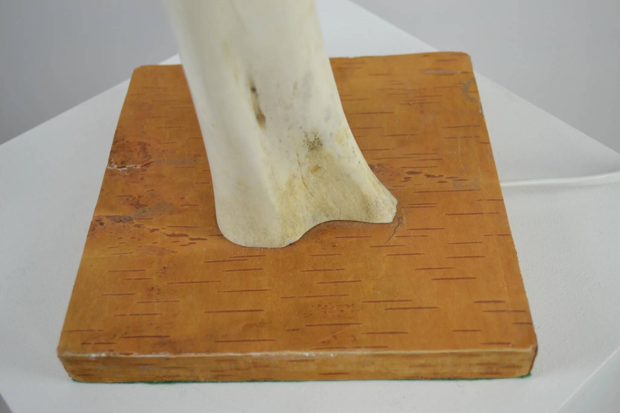 Scandinavian Studio Table Lamp in Carved Bone with Symbolic Decoration, c. 1950s–1970s