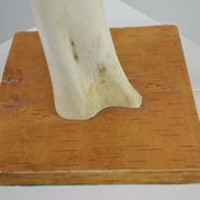 Scandinavian Studio Table Lamp in Carved Bone with Symbolic Decoration, c. 1950s–1970s