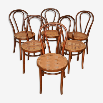 6 chaises modèle de Thonet