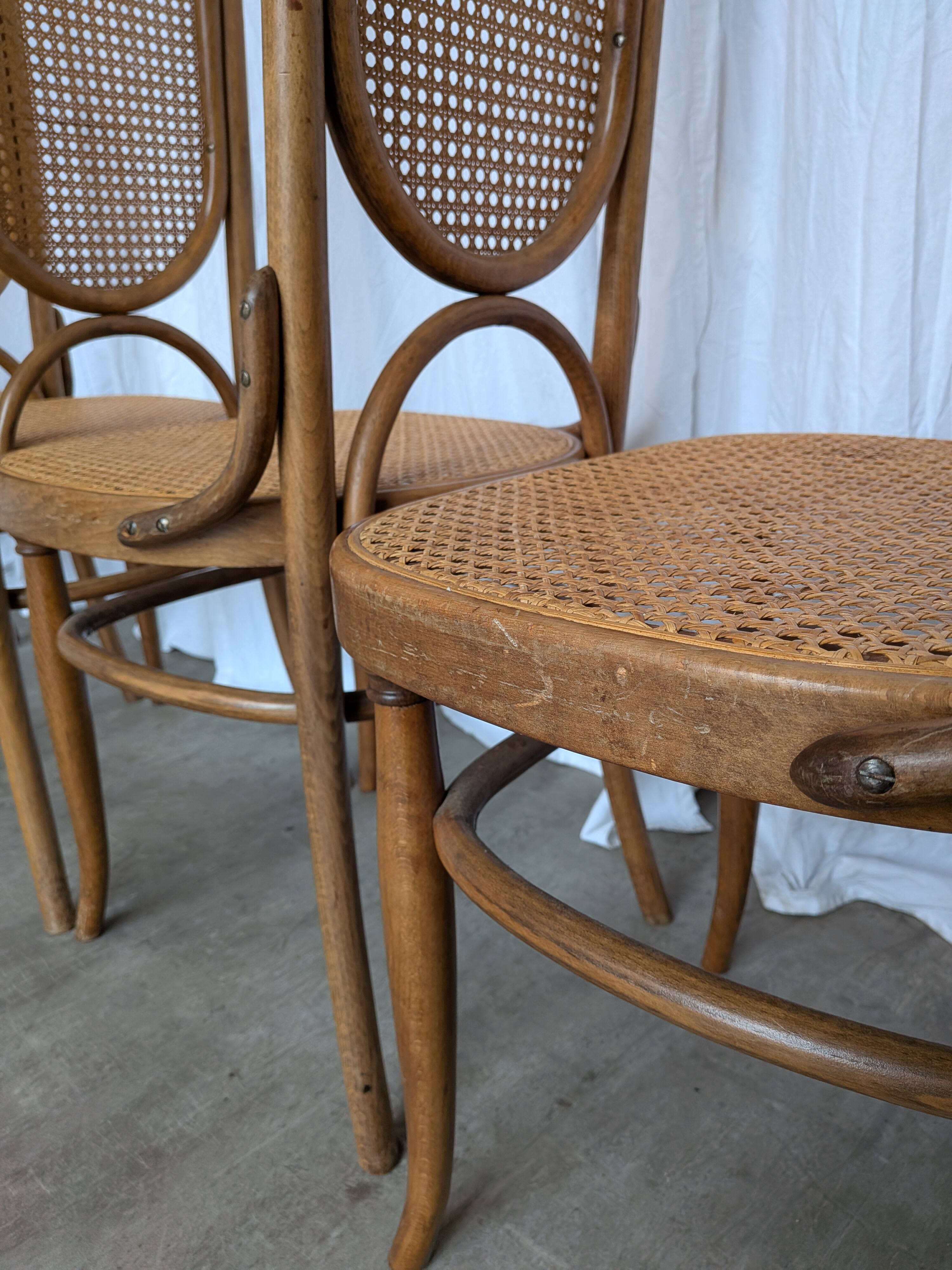 Set of 8 Vintage Bentwood Cane Dining Chair, Thonet Style, 1970s Yugoslavia