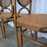 Set of 8 Vintage Bentwood Cane Dining Chair, Thonet Style, 1970s Yugoslavia