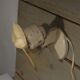 Ventilateur Elgé