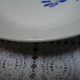 Flora, Pexonne hollow dish