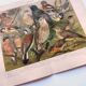 Zoological engraving from 1909 - Garden birds - Old German print