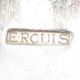 Lot de 12 fourchettes métal argent ercuis
