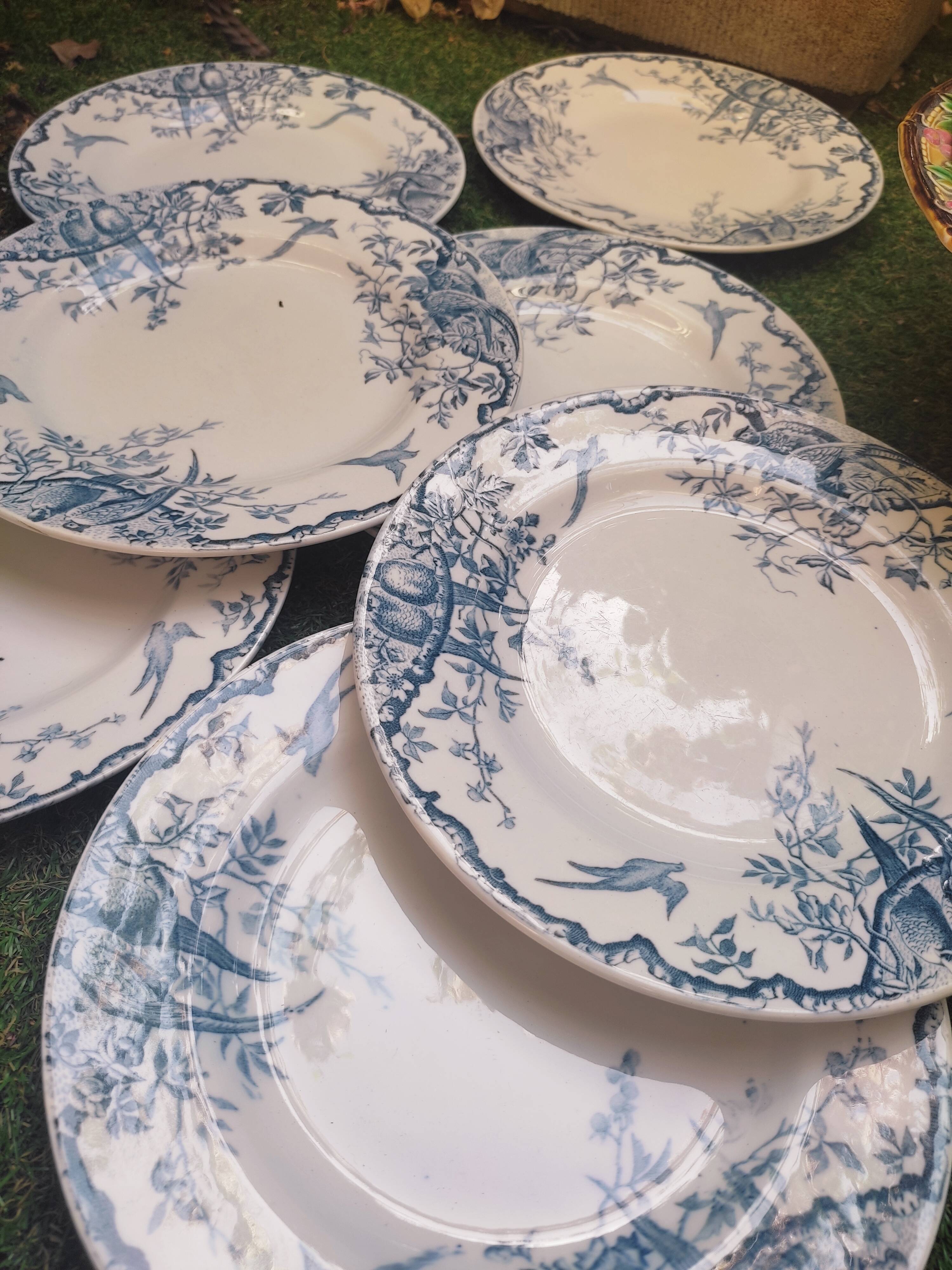 7 plates in earthenware with bird motifs by Lunéville