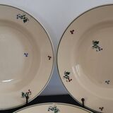 5 assiettes creuses anciennes Amandinoise St Amand