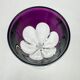 Baccarat, 6 verres Genova en cristal double couleur, 19 cm