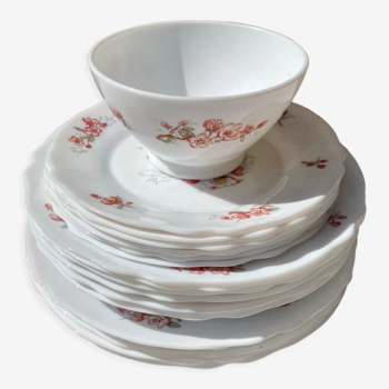 Lots Arcopal plates and bowl