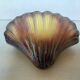 Scallop shell flower vase