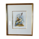 Birds - collection Hepatior N ° 37
