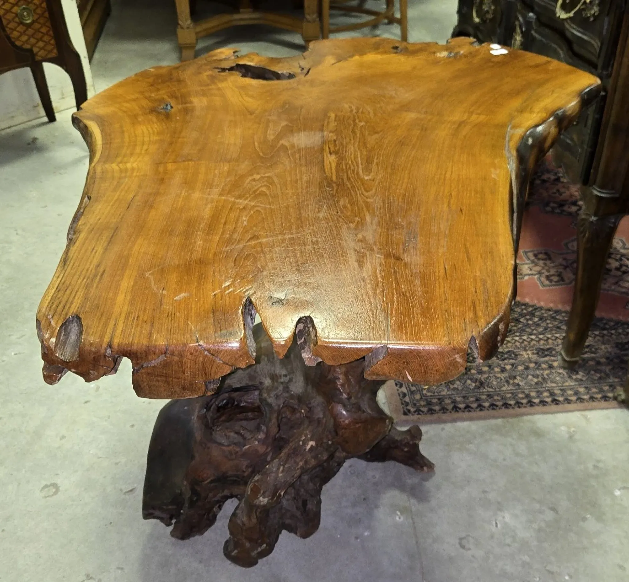 Sculpted olive wood table, made from a root.