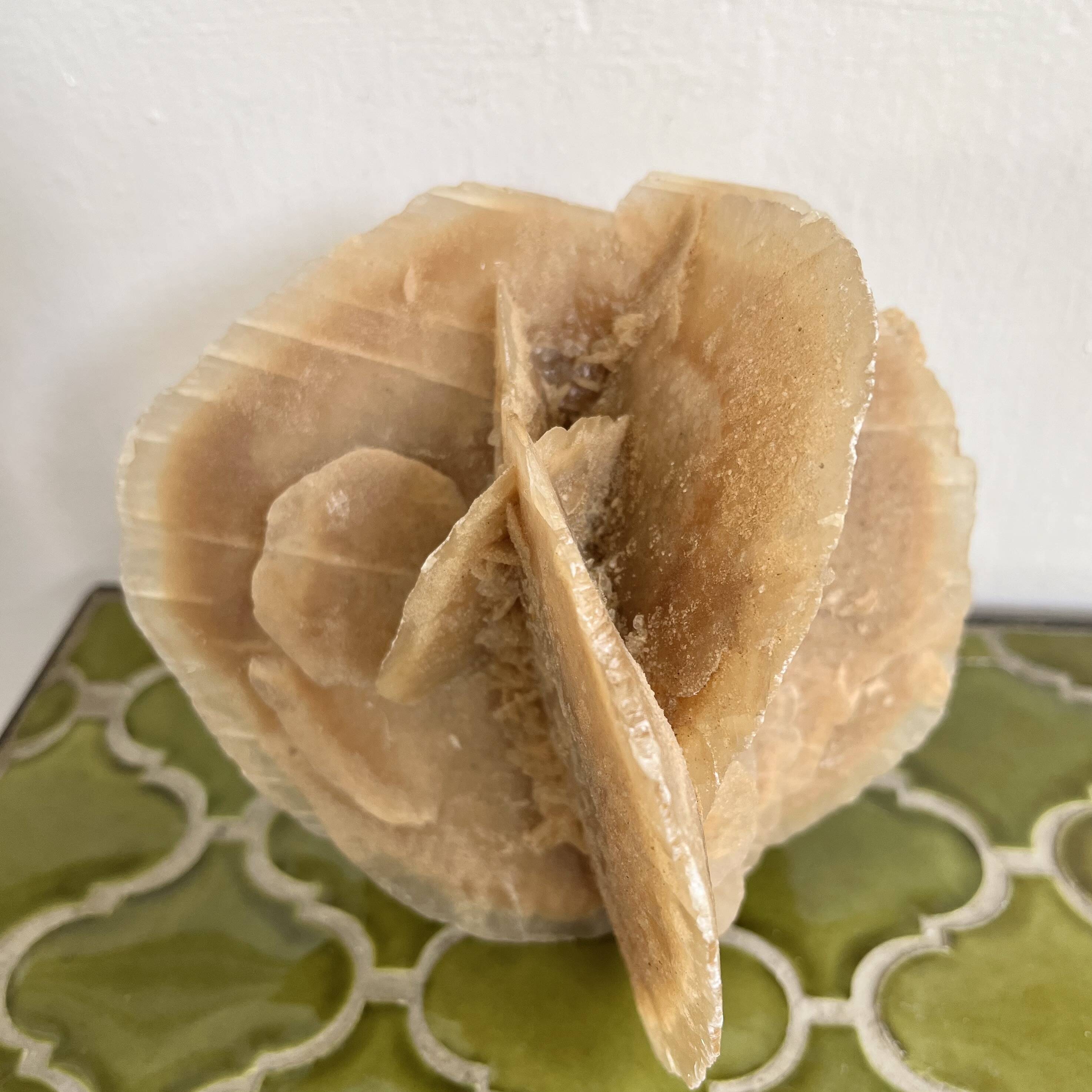 Large size sand rose