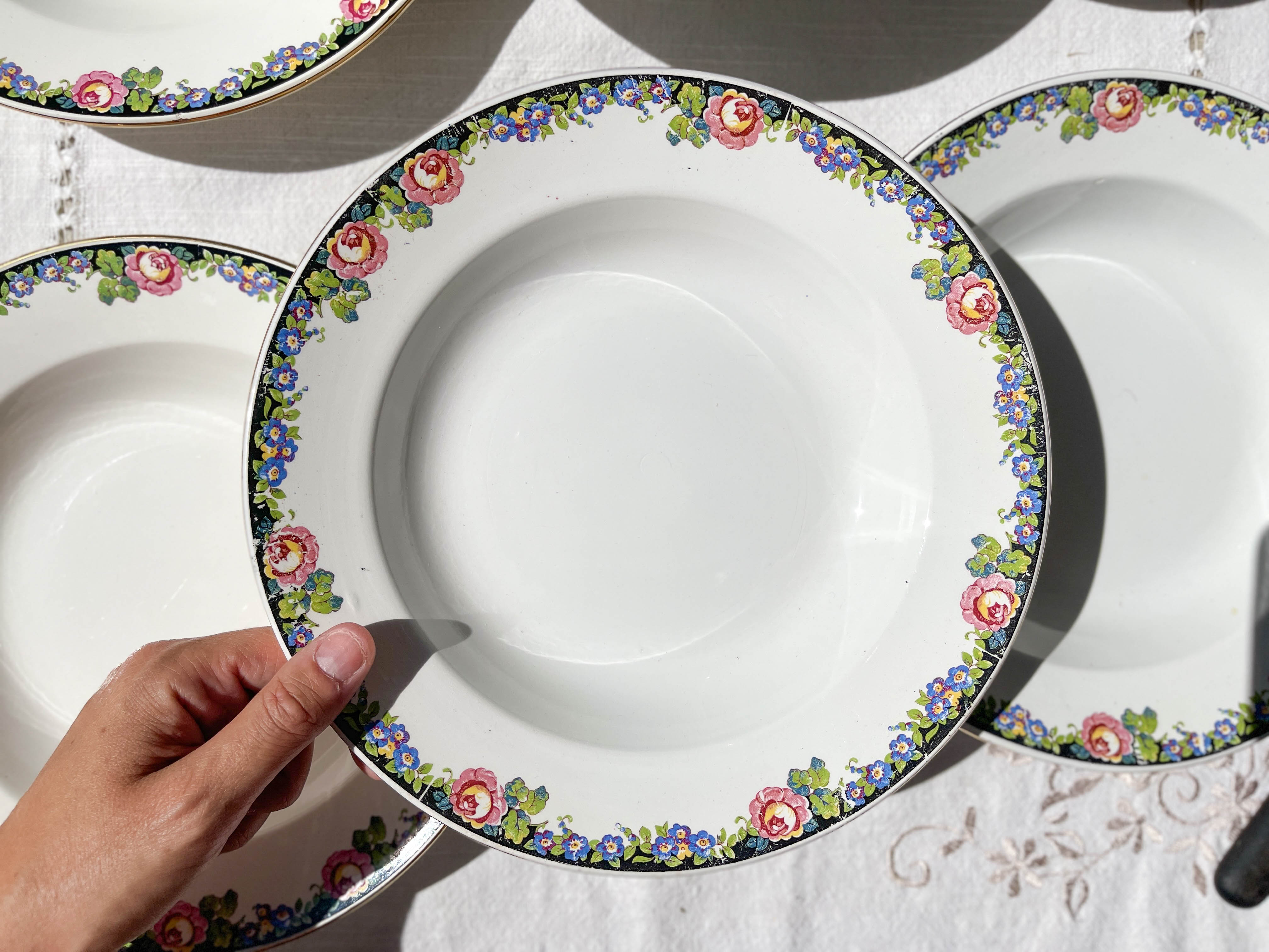 6 Digoin opaque porcelain soup plates with floral pattern "3984"