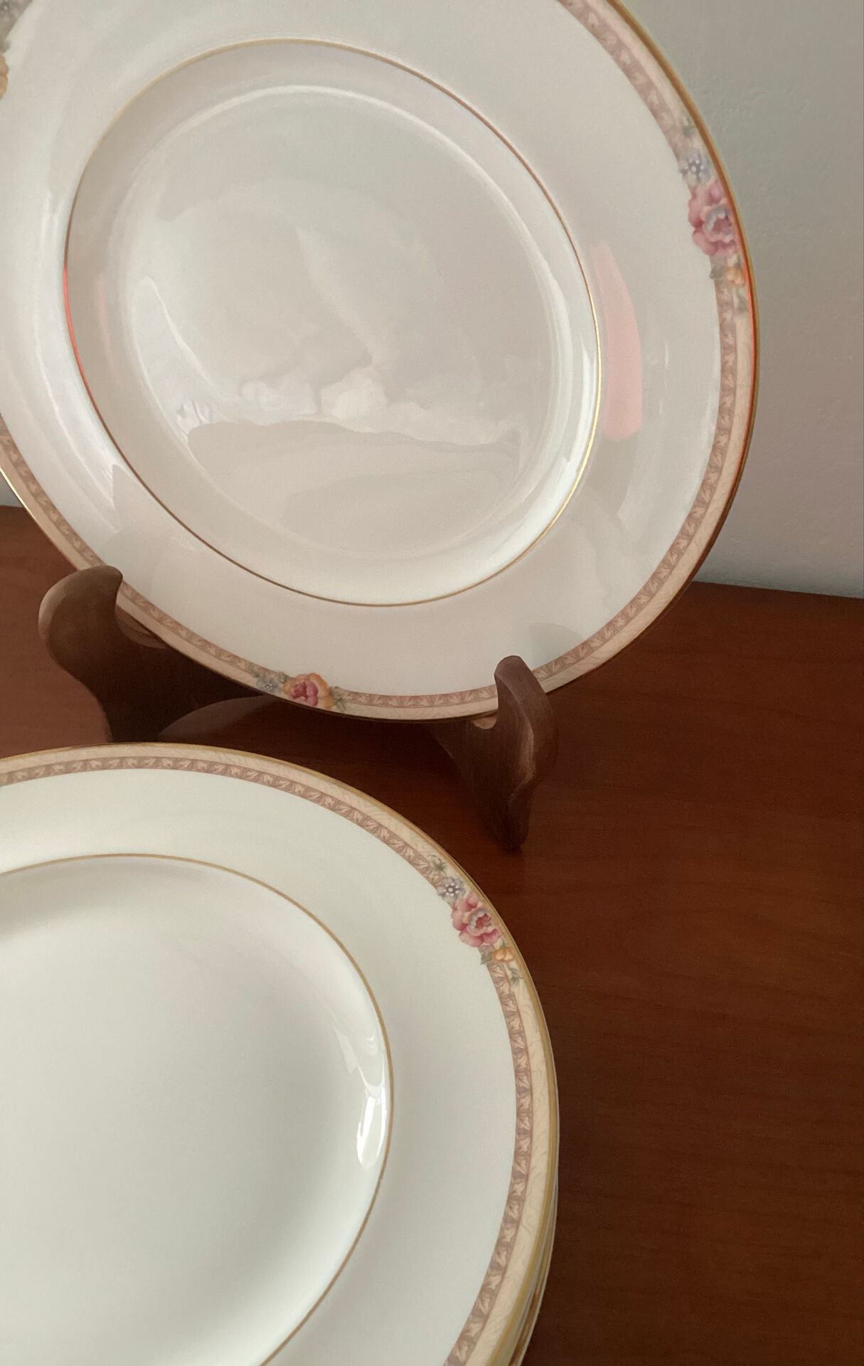 Large fine porcelain plates Royal Doulton Darjeeling