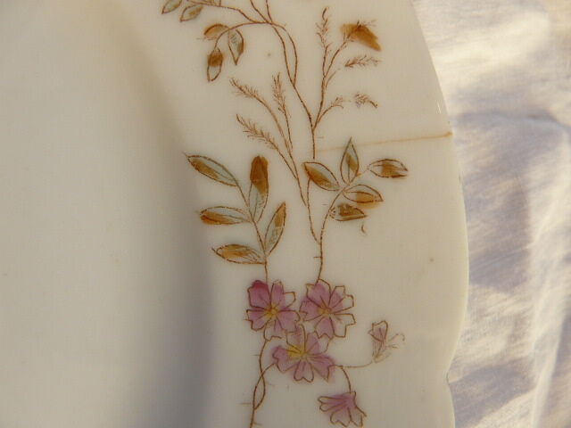 10 porcelain dessert plates xixth century