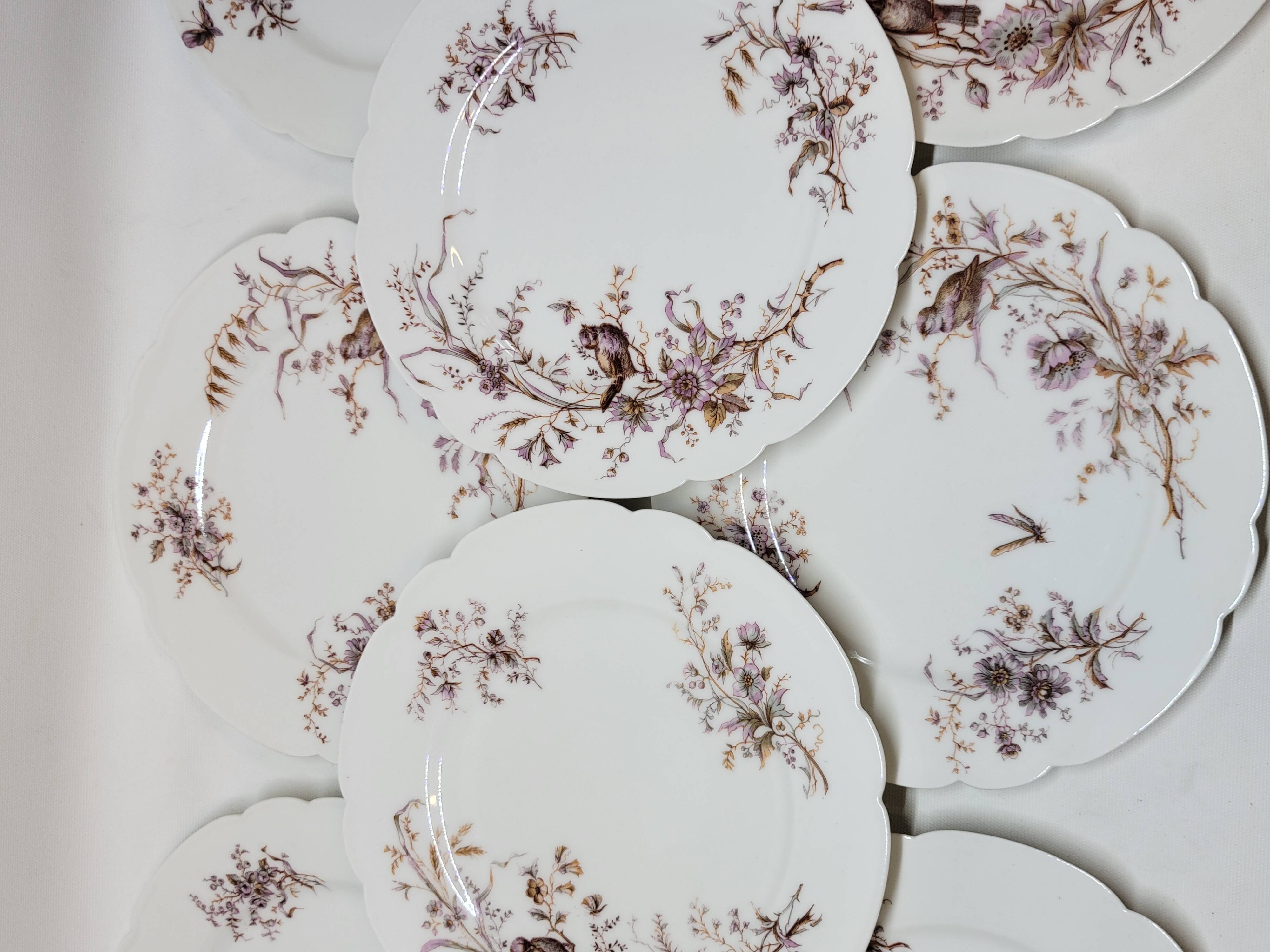 8 Superb Antique 19th Century Plates Decorated with Birds on Branches