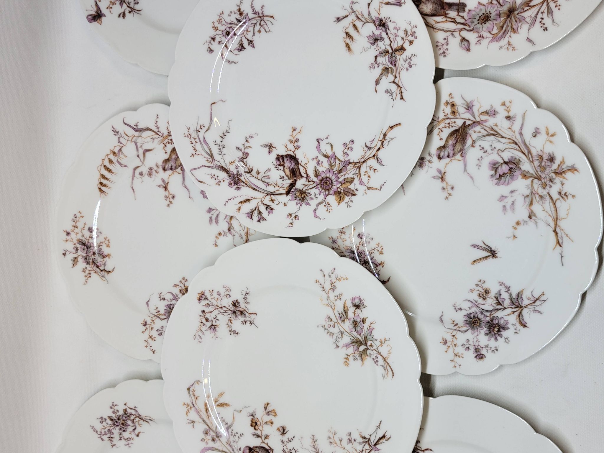 8 Superbes Assiettes Anciennes XIXème Décor Aux Oiseaux Sur Des Branches