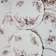 8 Superb Antique 19th Century Plates Decorated with Birds on Branches