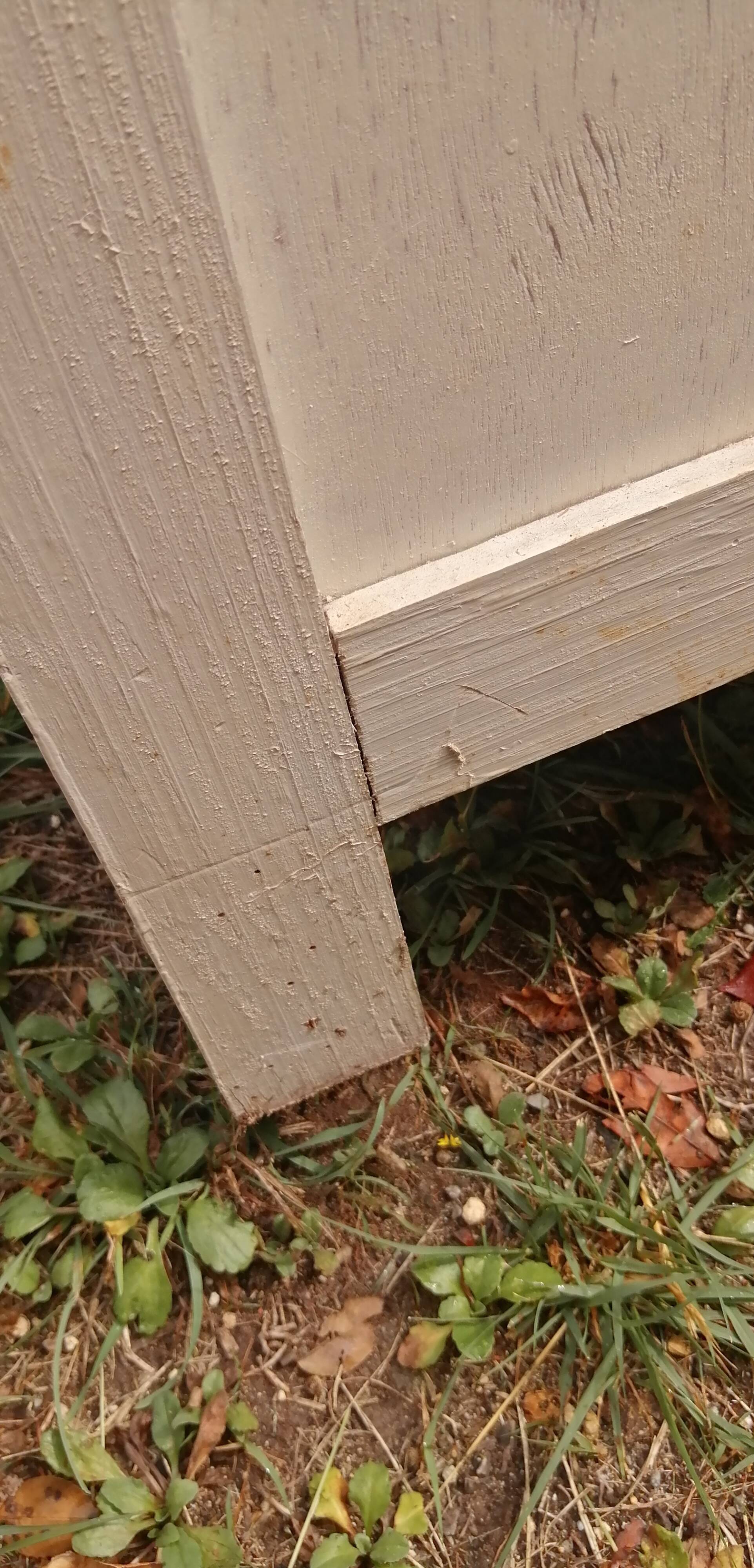 Parisian buffet decorated with flowers