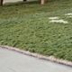 Traditional handwoven green Moroccan wool rug
