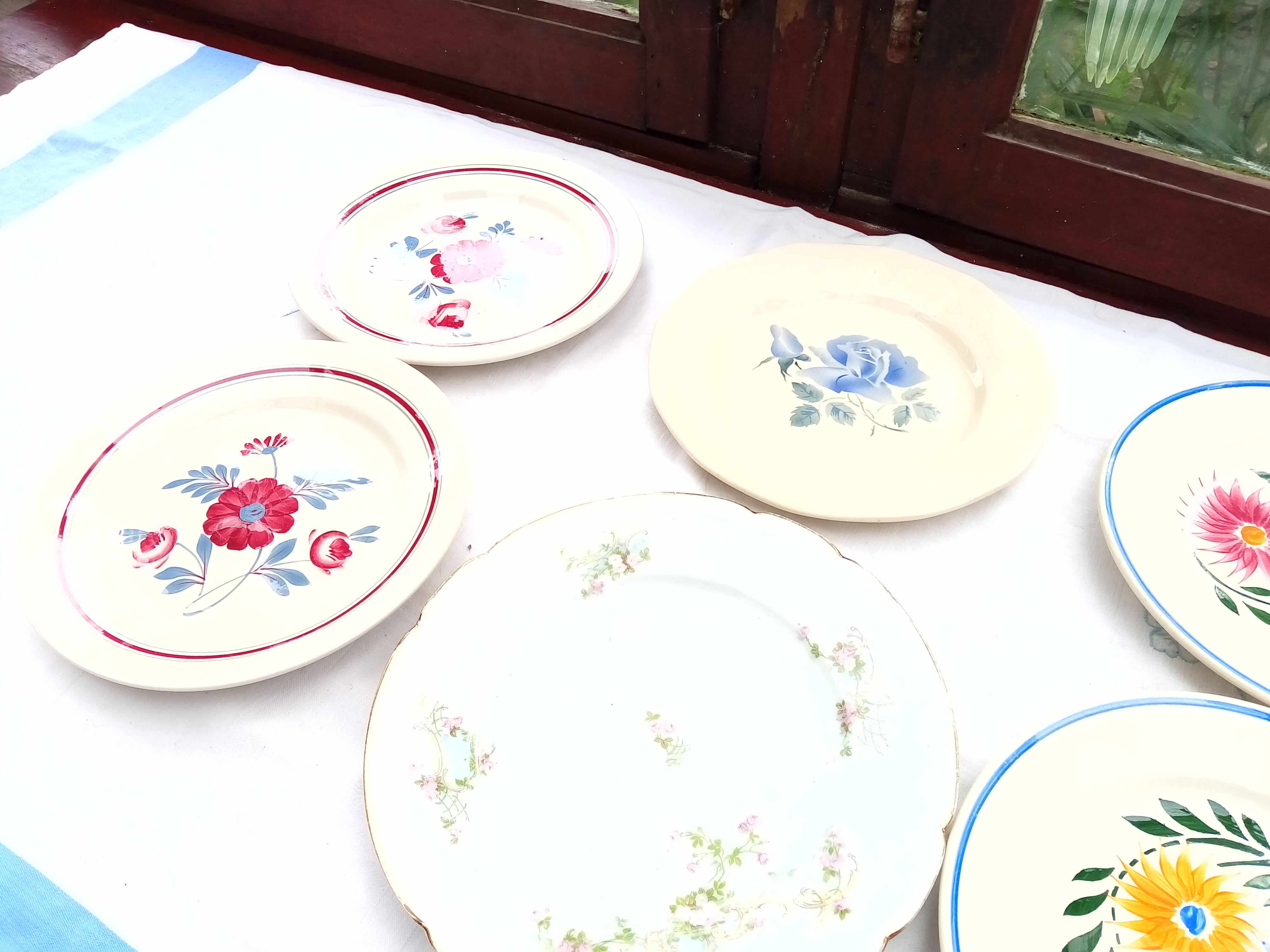 Assortment of 6 dinner plates