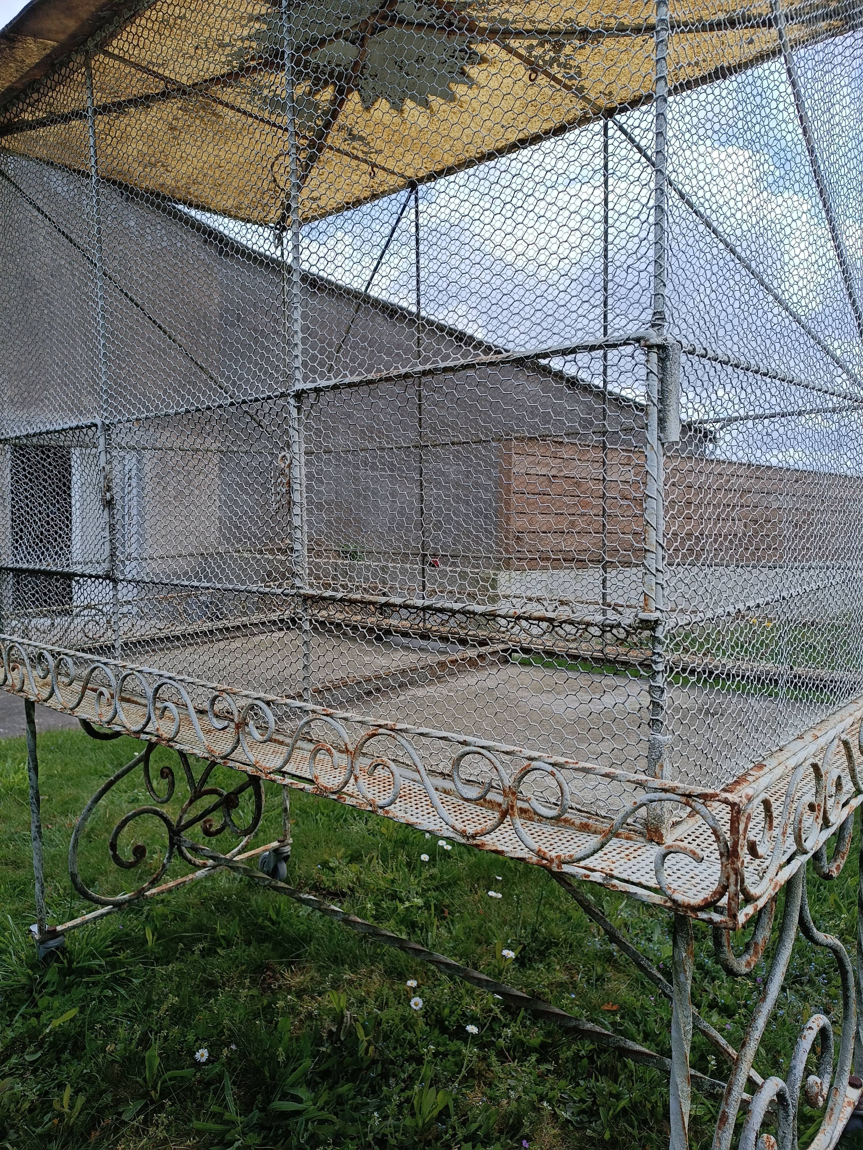 Volière cage à oiseaux fer forgé 20 ème