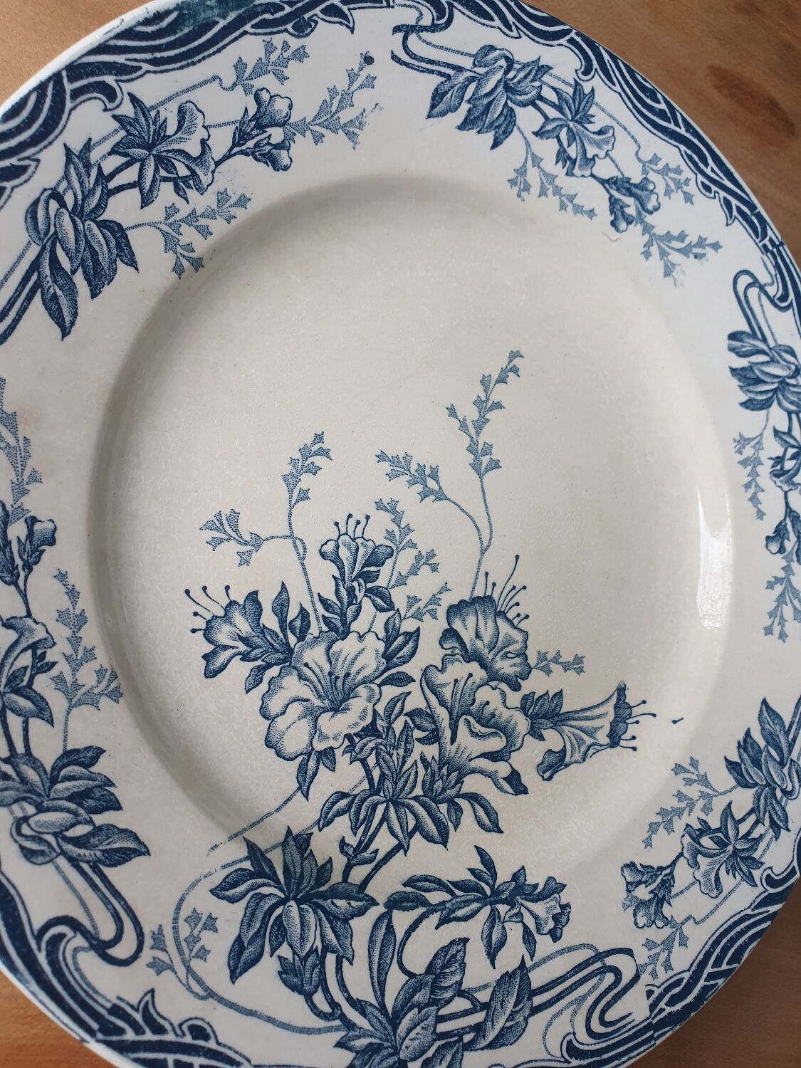Longwy Azalea plates