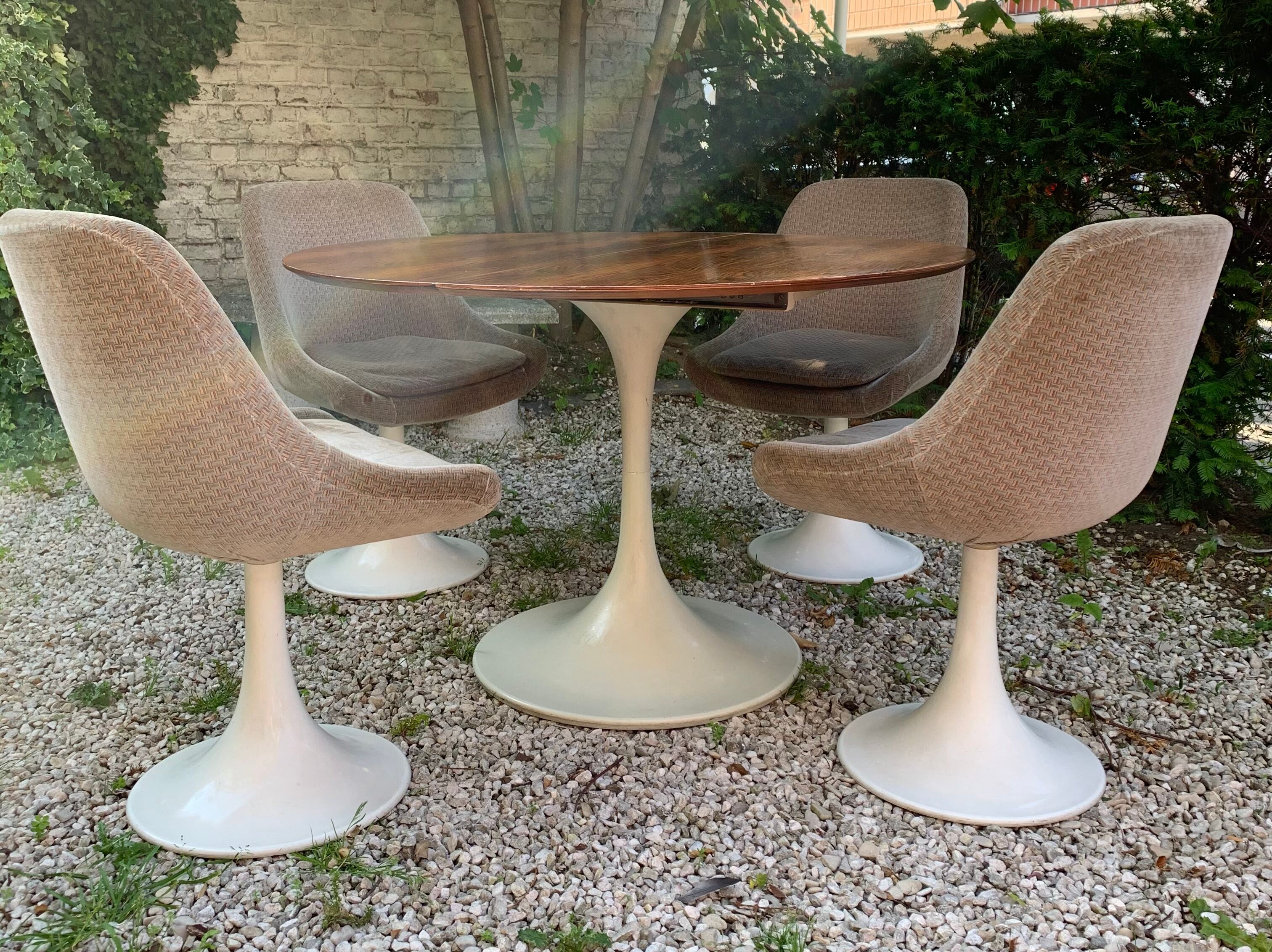 Table 70 and 4 tulip chair