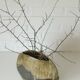 Vintage ceramic floor pampas grass vase brown fat lava pottery Germany 70's