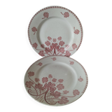 Duo of Lunéville flat plates, Lucien model – Clover decoration, early 20th century