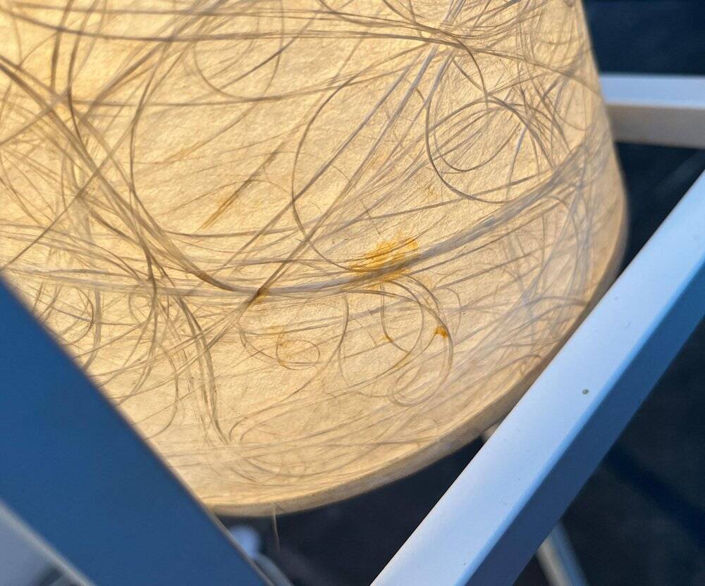 Mid-century modern minimalist floor lamps, Germany, 1960s, set of 2.